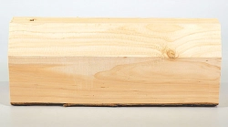 Le002 Lebensbaum, Thuja Block 280 x 110 x 53 mm