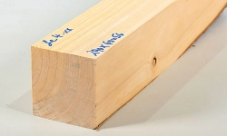 Le004 Lebensbaum, Thuja Kantel 290 x 60 x 56 mm