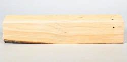Le004 Lebensbaum, Thuja Kantel 290 x 60 x 56 mm