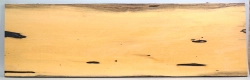 Ebw031 Schwarz-weißes Ebenholz Brett 958 x 278 x 12 mm