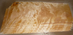 Bik100 Birke, geflammte Birke, Eisbirke Sägefurnier 400 x 180 x 2,2 mm