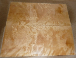 Bik100 Birke, geflammte Birke, Eisbirke Sägefurnier 400 x 180 x 2,2 mm