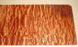 Ma031 Mahagoni Pommelé Sägefurnier 530 x 135 x 0,15 mm