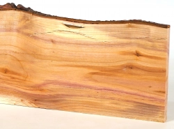 Bp009 Blutpflaume Brettchen 376 x 120 x 13 mm