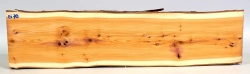 Ei070 Eibe Stammabschnitt rissfrei! 525 x 120 x 56 mm