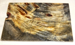 By036 Buckeye Burl stabilisiert Griffschalen 120 x 40 x 4 mm