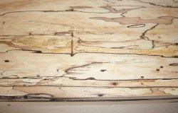 Bc025 Buche, Rotbuche gestockte Trüffelbuche 720 x 260 x 47 mm