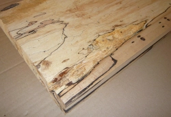 Bc025 Buche, Rotbuche gestockte Trüffelbuche 720 x 260 x 47 mm