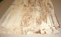 Bc029 Buche, Rotbuche gestockte Trüffelbuche 620 x 250 x 47 mm