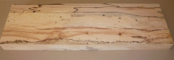 Bc036 Buche, Rotbuche gestockte Trüffelbuche 700 x 220 x 46 mm