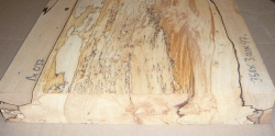 Bc037 Buche, Rotbuche gestockte Trüffelbuche 350 x 300 x 47 mm