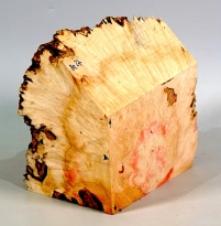 Be027 Eschenblättriger Ahorn Maser, Box Elder Dekostück, Maserholzscheibe 156 x 100 x 80 mm