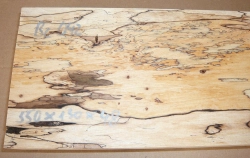 Bc042 Buche, Rotbuche gestockte Trüffelbuche 550 x 130 x 48 mm