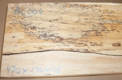 Bc044 Buche, Rotbuche gestockte Trüffelbuche 470 x 130 x 48 mm
