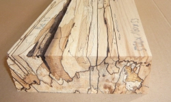 Bc045 Buche, Rotbuche gestockte Trüffelbuche 500 x 160 x 53 mm