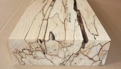 Bc045 Buche, Rotbuche gestockte Trüffelbuche 500 x 160 x 53 mm