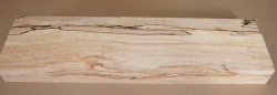 Bc046 Buche, Rotbuche gestockte Trüffelbuche 550 x 140 x 49 mm