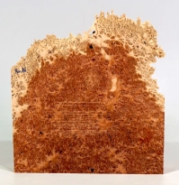 Rm016 Red Mallee Maser Kappe 183 x 160 x 34 mm