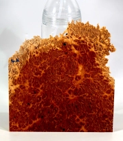 Rm016 Red Mallee Burl Cap 183 x 160 x 34 mm