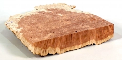 Rm016 Red Mallee Burl Cap 183 x 160 x 34 mm
