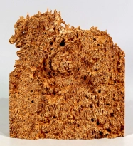 Rm016 Red Mallee Burl Cap 183 x 160 x 34 mm