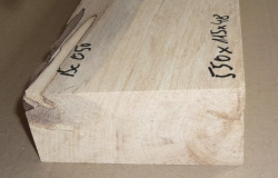 Bc050 Buche, Rotbuche gestockte Trüffelbuche 550 x 115 x 48 mm
