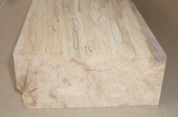 Bc050 Buche, Rotbuche gestockte Trüffelbuche 550 x 115 x 48 mm