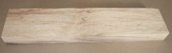 Bc050 Buche, Rotbuche gestockte Trüffelbuche 550 x 115 x 48 mm