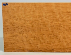 Ah007 Vogelaugenahorn getempert Sägefurnier 495 x 180 x 2 mm