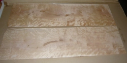 Bik102 Birke, geflammte Birke, Eisbirke Sägefurnier 800 x 220 x 2 mm