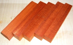 Pad015 Padouk, Korallenholz Penblanks 5 Stck. à 120 x 20 x 20 mm