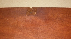 Ma021 Mahagoni, westindisches Mahagoni aus Uraltbestand! 690 x 100 x 6,5 mm