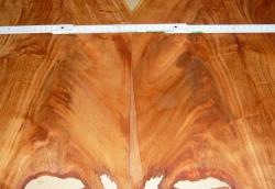 Ma046 Pyramiden-Mahagoni, westindisches aus Uraltbestand! 2 Blatt Sägefurnier a 640 x 320 x 1,7 mm