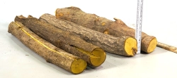 Beb007 Berberitze, Sauerdorn, Essigbeere Sortiment Stammabschnitte  360-420 mm x 35-38 mm, ca. 2,1 kg