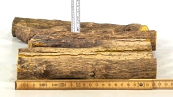 Beb014 Berberitze, Sauerdorn, Essigbeere Sortiment Stammabschnitte  200-240 mm x 30-35 mm, ca. 1,3 kg