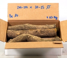 Beb014 Berberitze, Sauerdorn, Essigbeere Sortiment Stammabschnitte  200-240 mm x 30-35 mm, ca. 1,3 kg