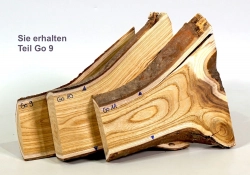 Go009 Goldregen Stammabschnitt 160 x 70 x 22 mm