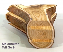 Go009 Goldregen Stammabschnitt 160 x 70 x 22 mm