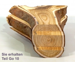 Go010 Goldregen Stammabschnitt 166 x 80 x 32 mm
