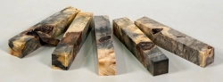 By019 Buckeye Burl stabilisiert 5er Set Penblanks m. kl. Fehlern 120 x 20 x 20 mm