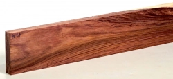 Pa067 Palisander, Honduras Brett 520 x 68 x 16 mm