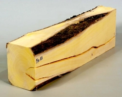 Pfa011 Pfaffenhütchen Kantel 236 x 70 x 56 mm