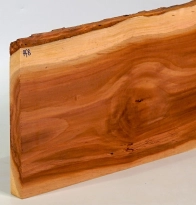 Pf008 Pflaumenholz Brettchen 344 x 168 x 18 mm