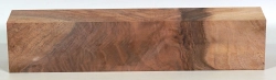 Nb073 Nussbaum, Schwarznuss mit Veredelungsstelle 345 x 72 x 59 mm