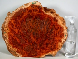 Bbx007 Black Box Burl Maserholzscheibe 420 x 356 x 18 mm