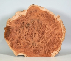 Bbx007 Black Box Burl Maserholzscheibe 420 x 356 x 18 mm