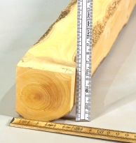Bx007 Boxwood European Blank 444 x 64 x 63 mm