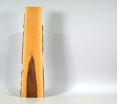 Po002 Pockholz Dekostück mit Splint u. Rinde! 510 x 90-125 x 10-30 mm