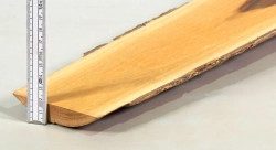Po002 Pockholz Dekostück mit Splint u. Rinde! 510 x 90-125 x 10-30 mm