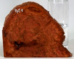 Ppf001 Pfefferminzbaum Maser dekorative Maserkappe 200 x 195 x 60 mm